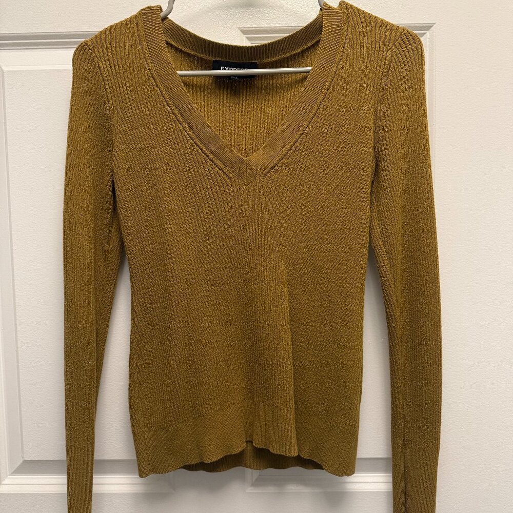 Express V-Neck Sweater - Green in Size Small